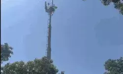 CM से मुलाकात की मांग- मोबाइल टावर पर चढ़ा युवक- बोला पुलिस ने... CM से मुलाकात की मांग- मोबाइल टावर पर चढ़ा युवक- बोला पुलिस ने...