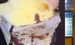 ऑनलाइन मंगाई आइसक्रीम में निकली इंसान की अंगुली- महिला आई.... ऑनलाइन मंगाई आइसक्रीम में निकली इंसान की अंगुली- महिला आई....