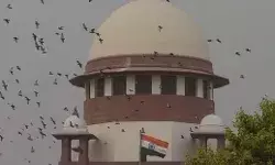 मुकरी निकली हिमाचल सरकार का यू टर्न- दिल्ली को पानी देने से इनकार मुकरी निकली हिमाचल सरकार का यू टर्न- दिल्ली को पानी देने से इनकार