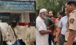 राम लिखकर बकरे को मटन शॉप पर बेचने की कोशिश- FIR हुई दर्ज राम लिखकर बकरे को मटन शॉप पर बेचने की कोशिश- FIR हुई दर्ज