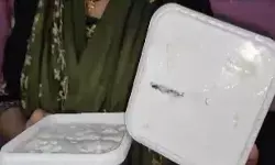 आइसक्रीम के साथ कनखजूरा फ्री- ऑनलाइन मंगाई आइसक्रीम में निकला कनखजूरा आइसक्रीम के साथ कनखजूरा फ्री- ऑनलाइन मंगाई आइसक्रीम में निकला कनखजूरा