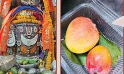 बाबा महाकाल को भक्त ने समर्पित किया संसार का सबसे महंगा आम