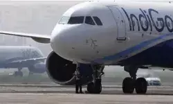 पार्टी मुखिया के मंत्री बनते ही पार्टी MLA ने मौका देख रख दी बड़ी... पार्टी मुखिया के मंत्री बनते ही पार्टी MLA ने मौका देख रख दी बड़ी...