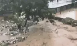 फटे बादल ने मचाई तबाही- बाढ़ के साथ हुआ भूस्खलन फटे बादल ने मचाई तबाही- बाढ़ के साथ हुआ भूस्खलन