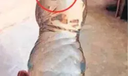 आइसक्रीम में उंगली, चिप्स में मेंढक के बाद अब पानी की बोतल में छिपकली