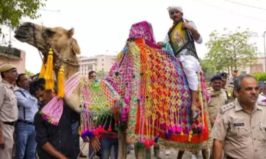 संसद जाने के लिए ऊंट पर बैठकर निकले सांसद के अरमानों पर फिरा पानी