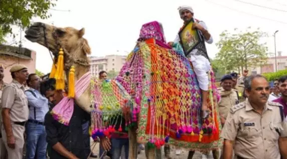 संसद जाने के लिए ऊंट पर बैठकर निकले सांसद के अरमानों पर फिरा पानी