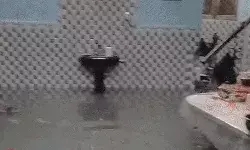 झमाझम बारिश से रामपथ पर भरा पानी- बोले लोग देखो तैर रहा विकास झमाझम बारिश से रामपथ पर भरा पानी- बोले लोग देखो तैर रहा विकास