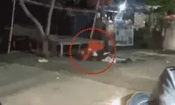कहासुनी में बीच सड़क गिराकर चाकू से युवक का गला काटा- आसपास... कहासुनी में बीच सड़क गिराकर चाकू से युवक का गला काटा- आसपास...