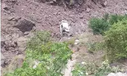 रियासी में फिर हुआ बड़ा हादसा- खाई में गिरी कार- एक की मौत रियासी में फिर हुआ बड़ा हादसा- खाई में गिरी कार- एक की मौत