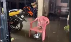 भाजपा विधायक के घर में घुसा पानी- श्री राम अस्पताल में जलभराव