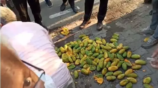 पेशाब करके आम बेचने वाला इस्लाम वकीलों ने पकड़ा- मौके पर हंगामा पेशाब करके आम बेचने वाला इस्लाम वकीलों ने पकड़ा- मौके पर हंगामा