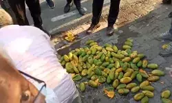 पेशाब करके आम बेचने वाला इस्लाम वकीलों ने पकड़ा- मौके पर हंगामा पेशाब करके आम बेचने वाला इस्लाम वकीलों ने पकड़ा- मौके पर हंगामा