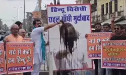 भाजपाइयों ने राहुल गांधी के फोटो पर पोती कालिख- जलाया पुतला भाजपाइयों ने राहुल गांधी के फोटो पर पोती कालिख- जलाया पुतला