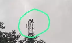 रील के लिए हाईवोल्टेज ड्रामा- मोबाइल टावर पर चढ़े युवकों ने..