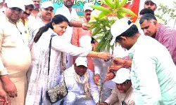 पर्यावरण की सुरक्षा के लिए वृक्षारोपण ही एकमात्र उपाय- डा0 सोमेन्द्र