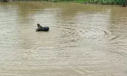 मस्ती कर रहे 4 बच्चों की एक्सप्रेसवे के गड्ढे में डूबने से मौत मस्ती कर रहे 4 बच्चों की एक्सप्रेसवे के गड्ढे में डूबने से मौत