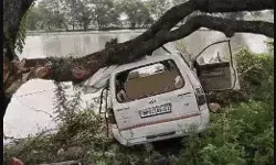 सड़क से उतरकर जंगल में भागी टवेरा पेड़ से टकराई- 5 युवकों की मौत सड़क से उतरकर जंगल में भागी टवेरा पेड़ से टकराई- 5 युवकों की मौत