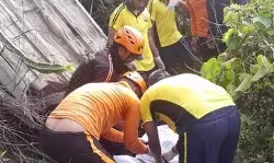 खाई में गिरी कार- परिवार के दो लोगों की मौत- चार हुए घायल खाई में गिरी कार- परिवार के दो लोगों की मौत- चार हुए घायल