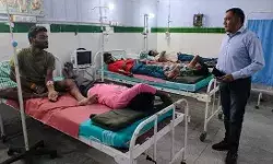 मशरूम के शौक ने मजदूरों को पहुंचाया अस्पताल- 8 मजदूर हुए बीमार मशरूम के शौक ने मजदूरों को पहुंचाया अस्पताल- 8 मजदूर हुए बीमार