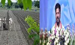 एक लाख रुपये की कर्ज माफी में अंडोल सबसे आगे