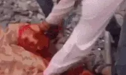 यमदूत बने पुलिसकर्मी ने ट्रेन से ट्रैक पर गिरी महिला की ऐसे बचाई जान यमदूत बने पुलिसकर्मी ने ट्रेन से ट्रैक पर गिरी महिला की ऐसे बचाई जान