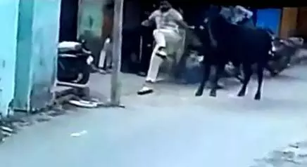 सड़क पर खड़े युवको के पीछे सांड ने मारी भयंकर टक्कर- दोनो हॉस्पिटल में..
