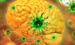 निपाह वायरस की चपेट में आये किशोर की मौत - सरकार ने जारी किया अलर्ट निपाह वायरस की चपेट में आये किशोर की मौत - सरकार ने जारी किया अलर्ट