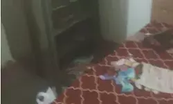 गन पॉइंट पर परिवार को बंधक बनाकर फौजी के घर डकैती- 10 लाख... गन पॉइंट पर परिवार को बंधक बनाकर फौजी के घर डकैती- 10 लाख...