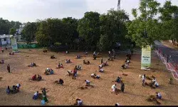 जयपुर सैन्य स्टेशन में वृक्षारोपण अभियान के तहत लगाए गए पौधे