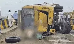 गायों की वजह से फ्लाईओवर पर दो बसों की टक्कर- दो की मौत, दर्जनों घायल