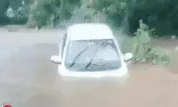 मूसलाधार बारिश ने कराई स्कूल कॉलेजों की छुट्टी- आठ लोगों की हुई मौत