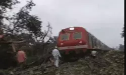 फिर हुआ ट्रेन हादसा- ट्रैक पर पड़े पेड़ से टकराई ट्रेन- पायलट घायल