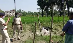 खेत में काम कर रहे युवक की गोली मारकर हत्या की खेत में काम कर रहे युवक की गोली मारकर हत्या की