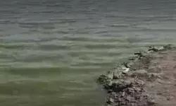 तालाब में नहाने गए तीन बच्चों की डूबने से मौत तालाब में नहाने गए तीन बच्चों की डूबने से मौत