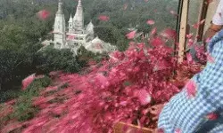 शिवभक्तों पर आज फिर हुई पुष्प वर्षा- खुशी से झूम उठे भोले शिवभक्तों पर आज फिर हुई पुष्प वर्षा- खुशी से झूम उठे भोले