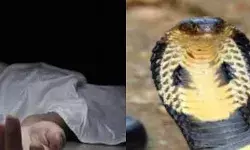 शिविर में सो रहे कांवड़िया के सांप ने काटा - हुई मौत शिविर में सो रहे कांवड़िया के सांप ने काटा - हुई मौत