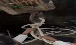 20 फीट गहरे गड्ढे में गिरी दो गाय में से चली गई एक की जान- दूसरी को... 20 फीट गहरे गड्ढे में गिरी दो गाय में से चली गई एक की जान- दूसरी को...