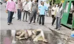 सपा दफ्तर के बाहर महिला की आत्मदाह की कोशिश- डाला पेट्रोल और...