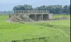 लो कर लो बात- ना नदी ना ही कोई नाला- खेत में बनाकर तैयार कर दिया पुल लो कर लो बात- ना नदी ना ही कोई नाला- खेत में बनाकर तैयार कर दिया पुल