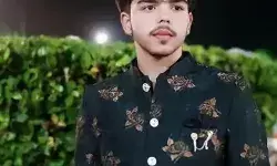 आवारा सांड की टक्कर से उड़े कार के परखच्चे- एक युवक की मौत- कई जख्मी