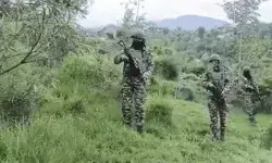 घिरे आतंकी- अनंतनाग में सुरक्षा बलों की आतंकियों से मुठभेड़ शुरू घिरे आतंकी- अनंतनाग में सुरक्षा बलों की आतंकियों से मुठभेड़ शुरू