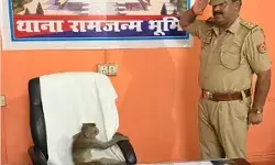 स्वतंत्रता दिवस पर कुर्सी पर आकर बैठे बंदर को इंस्पेक्टर ने किया.... स्वतंत्रता दिवस पर कुर्सी पर आकर बैठे बंदर को इंस्पेक्टर ने किया....