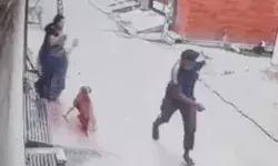 महिला से दिन दहाड़े सोने की चेन लूटी- गेट खोलते समय अंजाम दी गई घटना