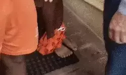 महाकाल मंदिर में त्रिपुंड बने व महाकाल लिखे निक्कर उतरवाये- लगाई... महाकाल मंदिर में त्रिपुंड बने व महाकाल लिखे निक्कर उतरवाये- लगाई...