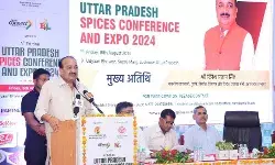 मंत्री का दावा- मसालों के उत्पादन से बढ़ेगी यूपी के किसानों की आय
