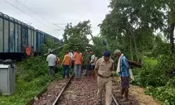 चलती मालगाड़ी पर गिरे पेड़ में लगी आग- ड्राइवर ने कूदकर बचाई अपनी जान चलती मालगाड़ी पर गिरे पेड़ में लगी आग- ड्राइवर ने कूदकर बचाई अपनी जान