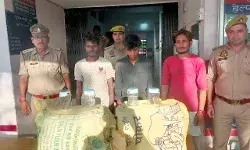 घटनाओं का खुलासा- तीन अरेस्ट- चोरी किया हुआ माल बरामद घटनाओं का खुलासा- तीन अरेस्ट- चोरी किया हुआ माल बरामद