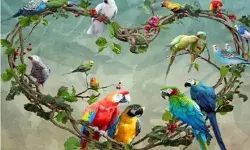 रहे सावधान- तोता पालने पर जाना पड़ सकता है जेल- अल्टीमेटम जारी