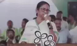 विरोध से घबराई ममता का यू टर्न- बोली डॉक्टर के खिलाफ एक शब्द नहीं बोला